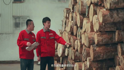 图片 鸿运国际·(中国)首页入口-鸿运hv官网欢迎您