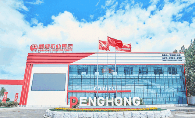 新闻6-6 鸿运国际·(中国)首页入口-鸿运hv官网欢迎您