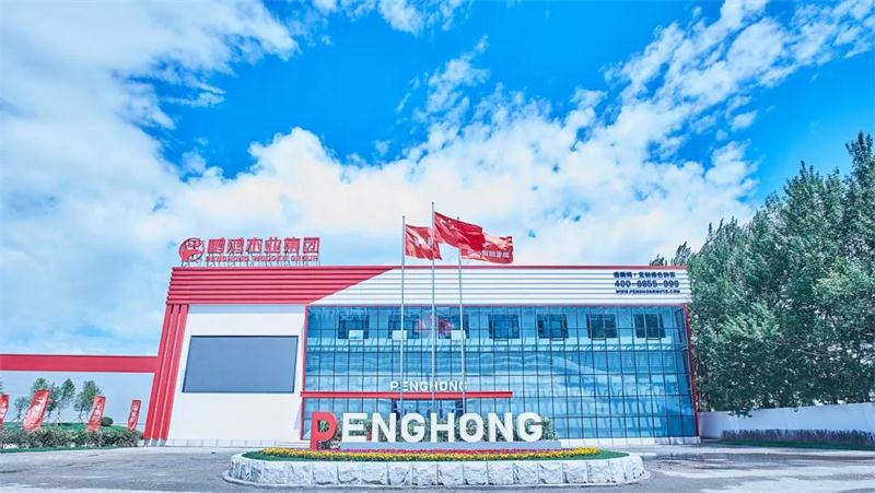 鸿运国际“定造家”升级“妄想家”