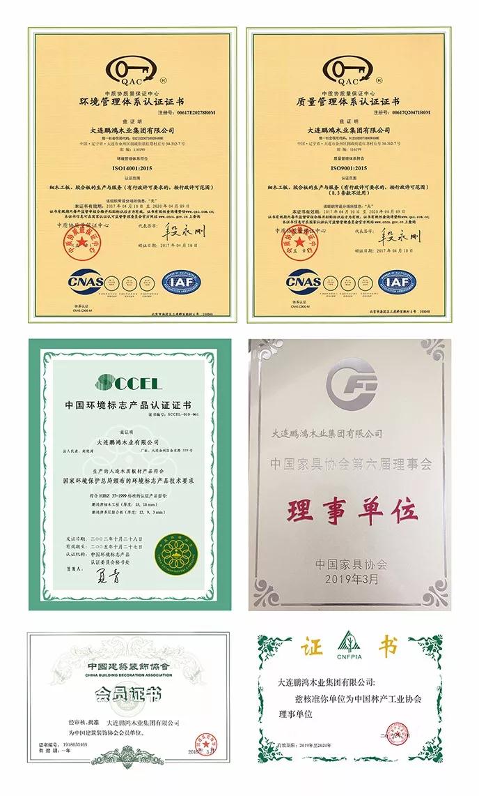 鸿运国际资质荣誉 鸿运国际资质荣誉