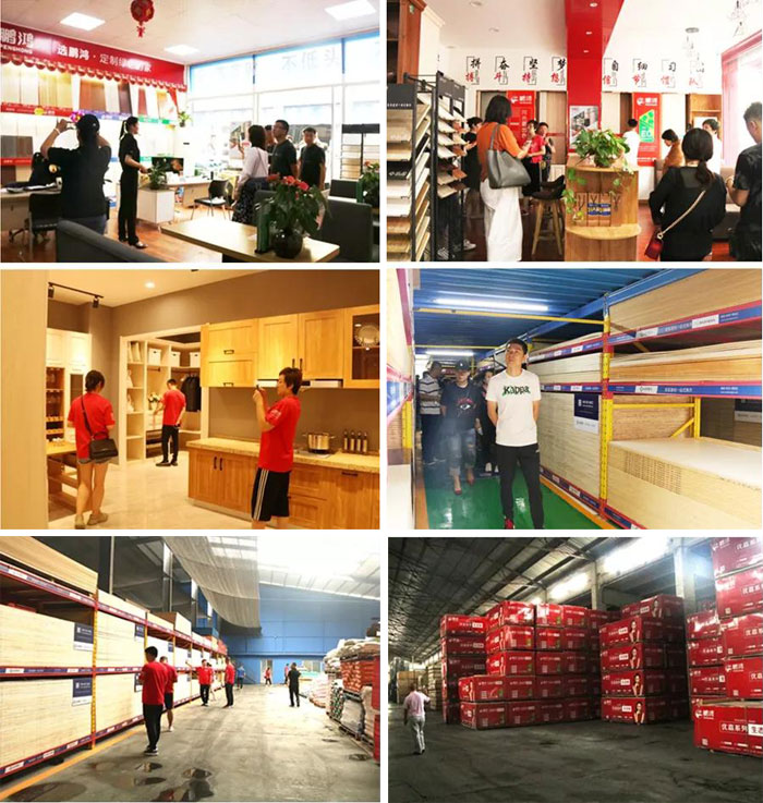 沈阳鸿运国际山东调查进建