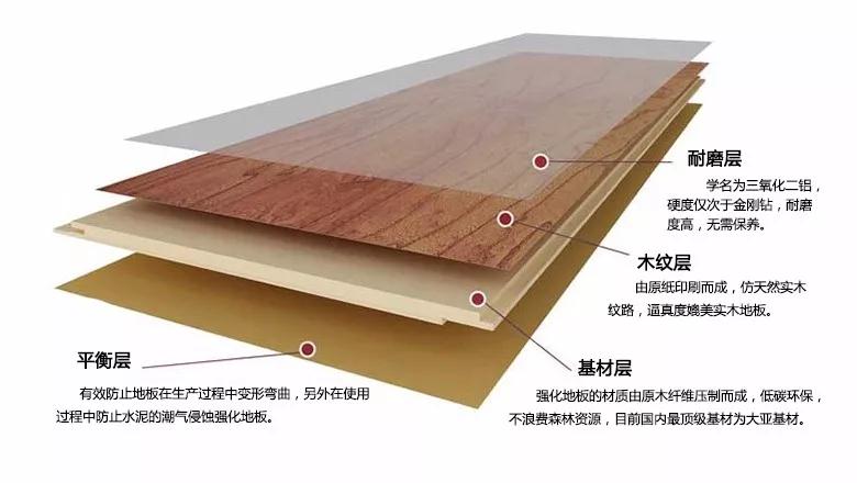 鸿运国际强化地板刨面图