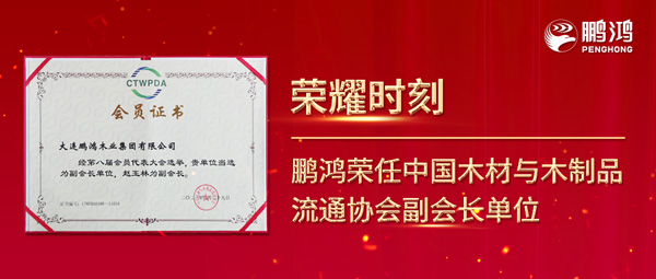 再获行业注定，鸿运国际荣任中国木材与木制品流通协会副会长