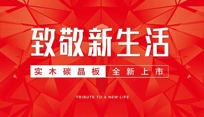鸿运国际实木碳晶板全新上市