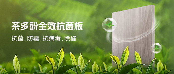 湿润季必备！鸿运国际茶多酚抗菌板：99%抗菌+0级防霉+HENF级净醛